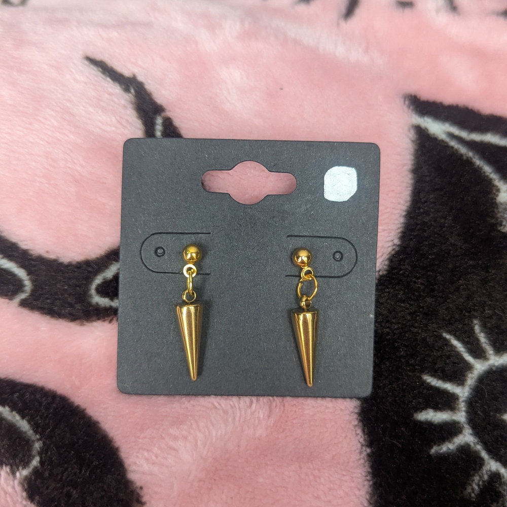 Stainless steel Earrings